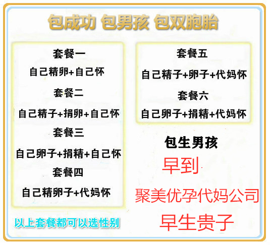 国内同性恋试管代怀费用-国内同性恋试管代怀费用解析