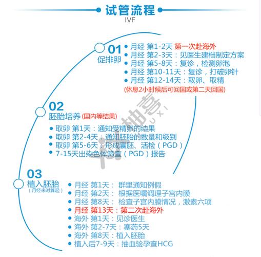 国内试管供卵试管流程及费用【国内试管供卵试管流程及费用解析】