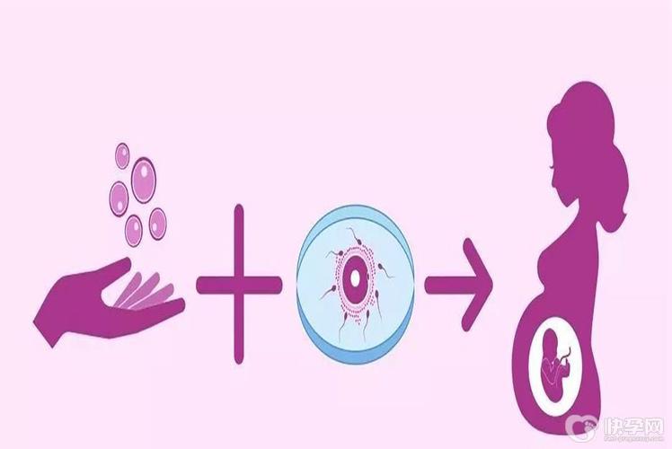 国内借卵试管-国内借卵试管：生育新选择