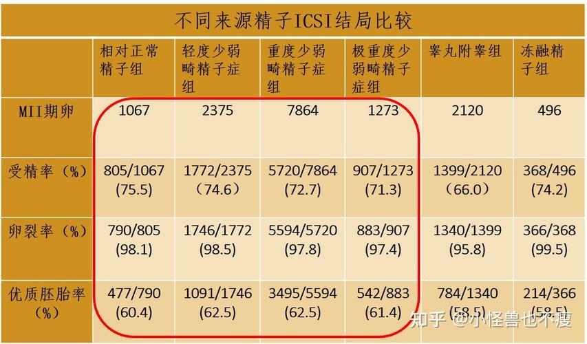 国内试管代怀成功率是多少_国内试管代怀成功率调查