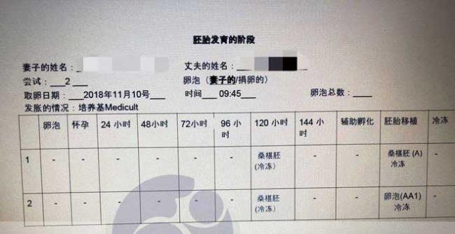 大学生试管代怀产子费用_大学生试管代怀产子费用解析