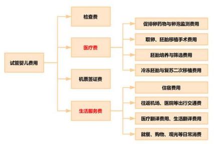 国内试管代怀需求-国内试管代怀需求调查与分析