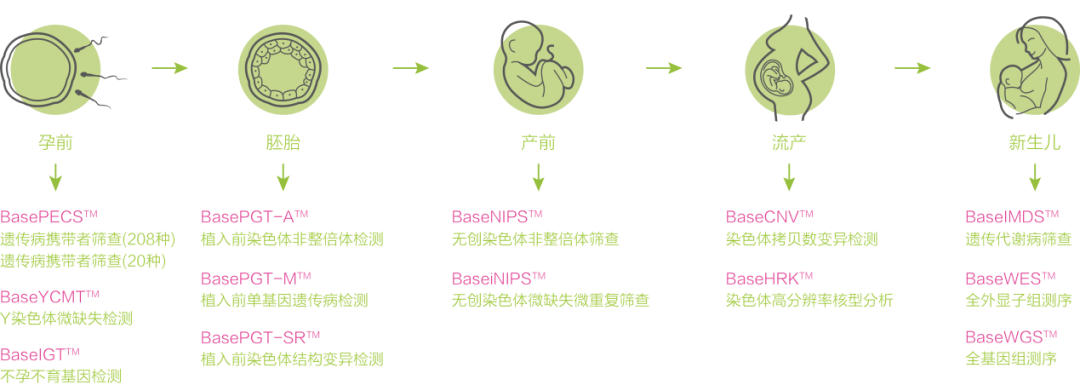 在国内试管代怀合法吗-国内试管代怀合法吗？一探国内试管代怀孕法律政策