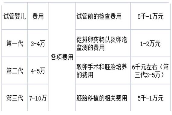 国内试管代怀费用_国内试管代怀费用优惠政策解读